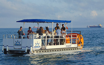 beer pedal boat hen party