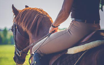 horse riding hen party