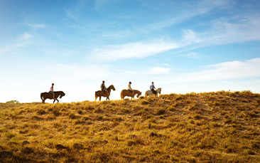 horse riding hen party