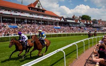 horse racing hen party