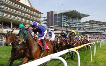 horse racing hen party