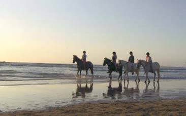 horse riding hen party