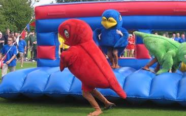 inflatable games hen party