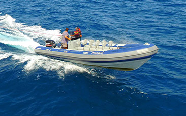 powerboat experience hen party